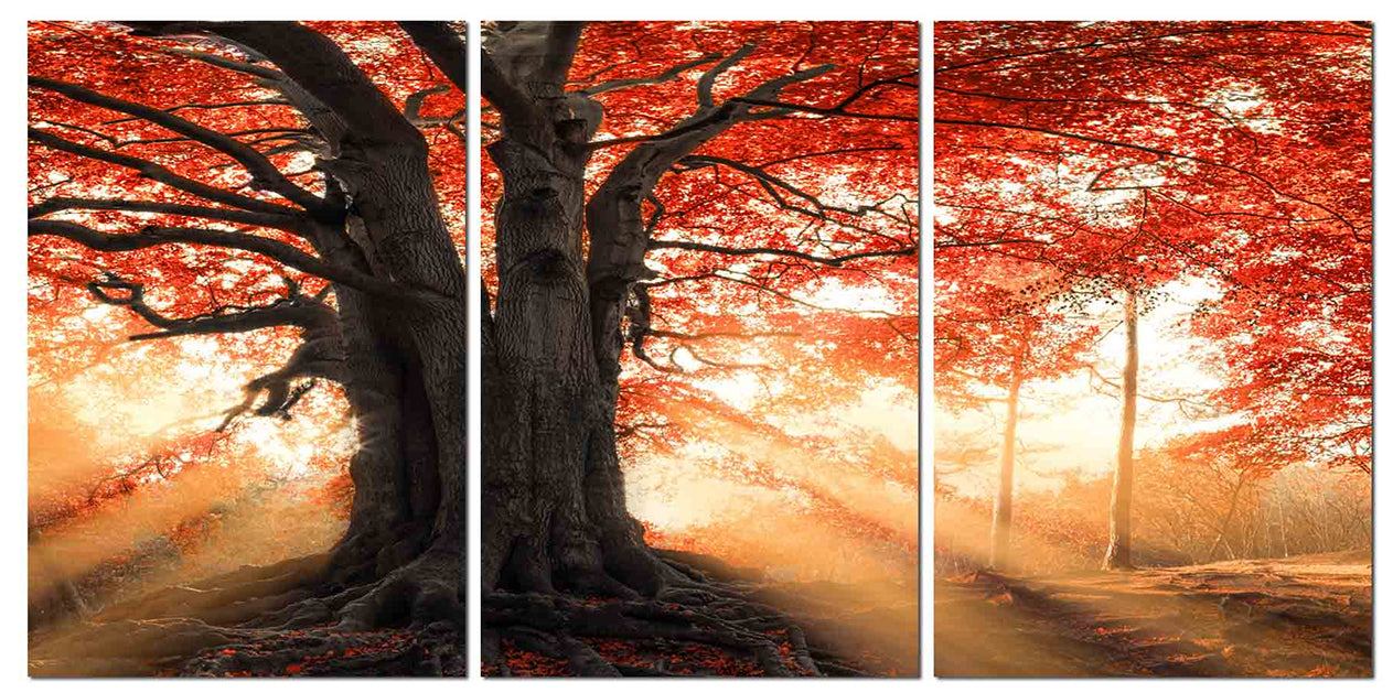 Red Tree at Sunset | 3 in 1 | Printing On Canvas