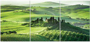 Green Field | 3 in 1 | Printing On Canvas