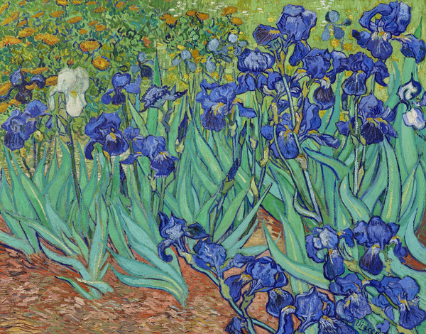 Van Gogh Irises